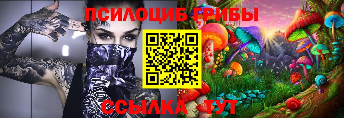 Краснотурьинск  Псилоцибиновые грибы Psilocybe  Вход с VPN 